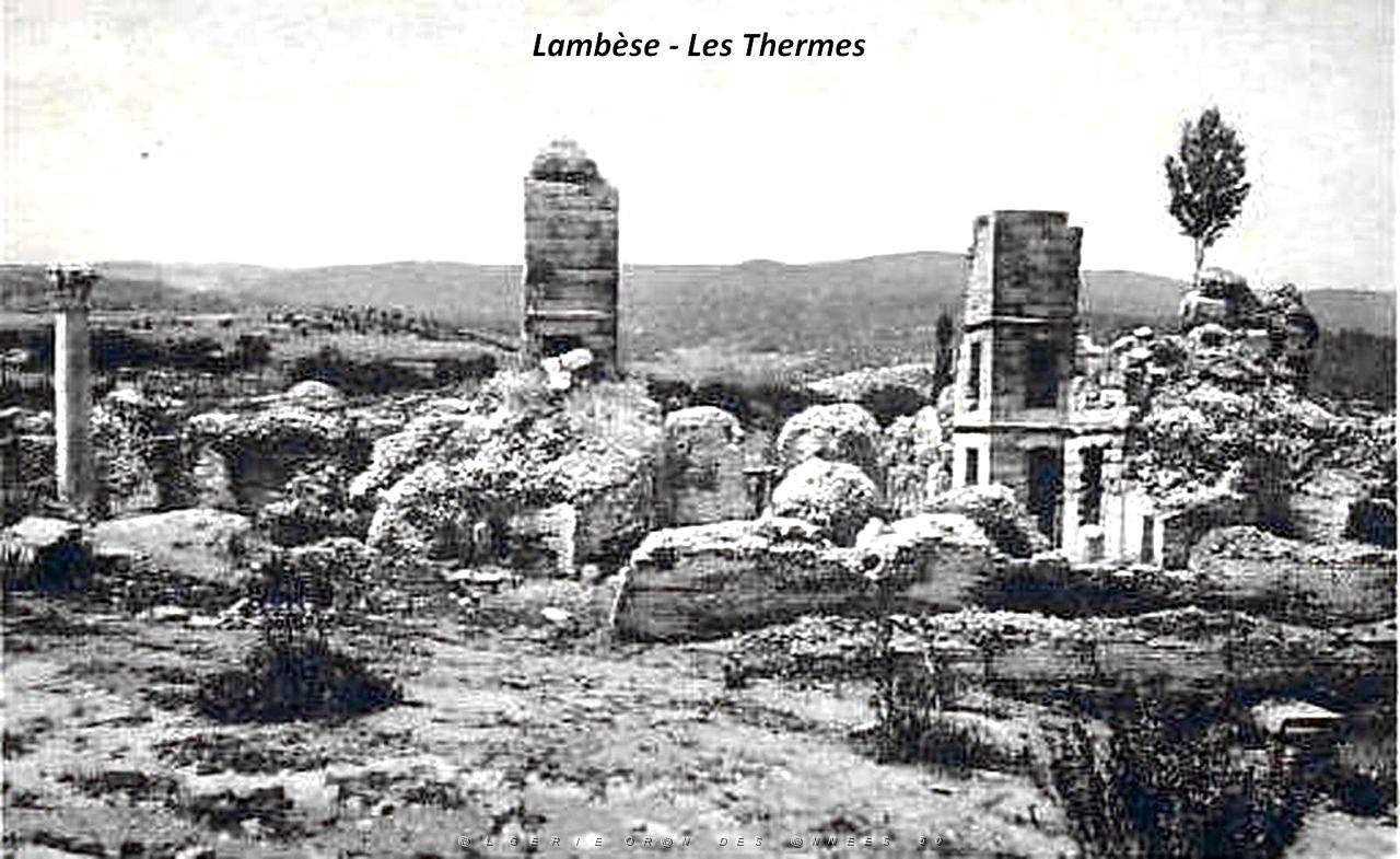 ALGERIE-RUINES ROMAINES DE LAMBESE (51).jpg